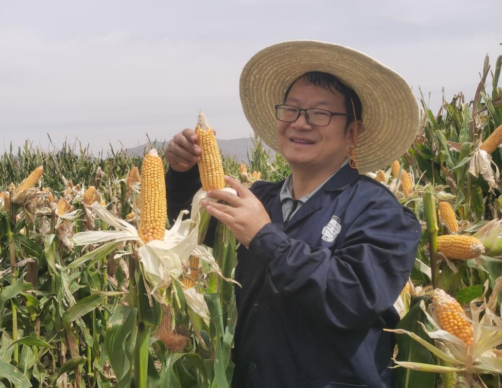 王进-河西学院-学科建设与研究生工作处